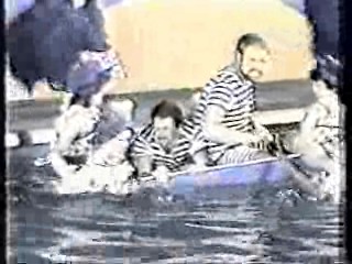 It's A Knockout (Australian version)