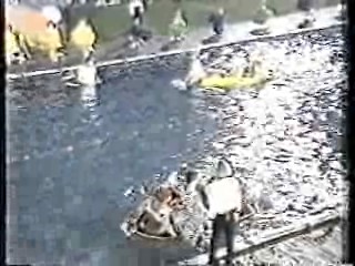 It's A Knockout (Australian version)