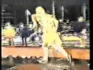 It's A Knockout (Australian version)