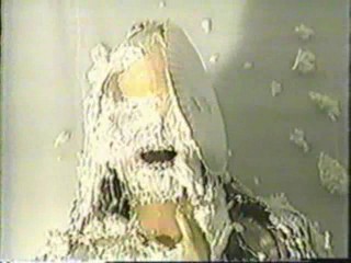 Desiree - Slimed, Pied & Doused