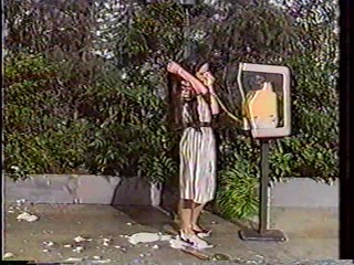 Japanese variety pie2