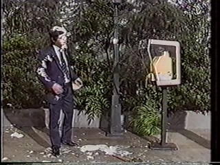 Japanese variety pie2