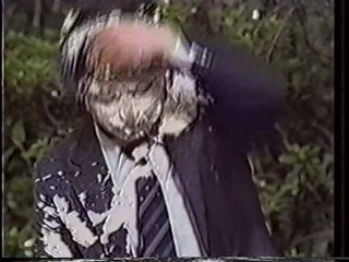 Japanese variety pie2