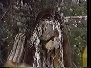 Japanese variety pie2