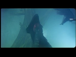 A Chinese Ghost Story 2