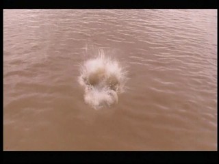 Japanese girl swiming