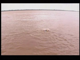 Japanese girl swiming