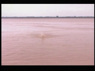 Japanese girl swiming