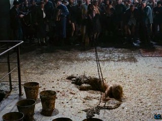 Zwartboek AKA Black Book