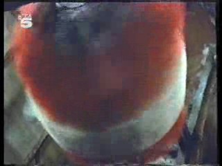 The New Avengers (in Canada),  Beyond the Poseidon Adventure