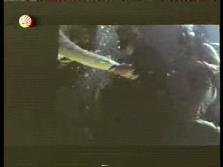 The New Avengers (in Canada),  Beyond the Poseidon Adventure