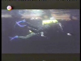 The New Avengers (in Canada),  Beyond the Poseidon Adventure