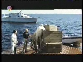 The New Avengers (in Canada),  Beyond the Poseidon Adventure