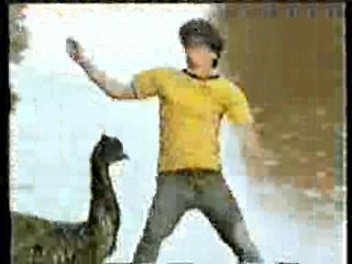 Germany's Funniest Videos,  German TV Drama, U.S. Jungle Movie