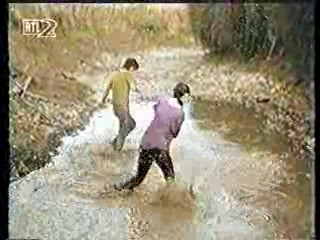 Germany's Funniest Videos,  German TV Drama, U.S. Jungle Movie