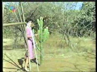 The Gods Must Be Crazy 2,  German Disney Club,  German Movie,