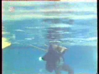 Avante Garde German Show