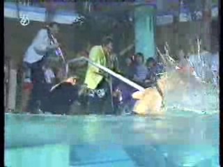 Avante Garde German Show