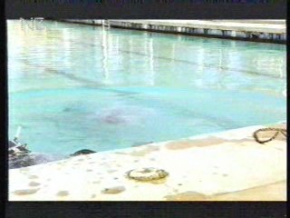 German Disney Club,  Buster's Bedroom,  German Disney Club