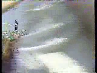 German Disney Club (2),  Fernschgarten