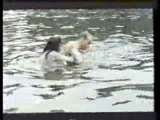 The New Avengers (in Canada),  German TV drama,  Germany's Funniest Videos,  MacGyver