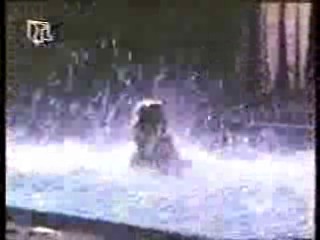 German Movie, Wet T Shirt movie