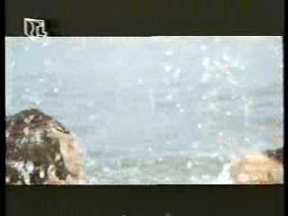 B Movie,  German Film,  German MTV