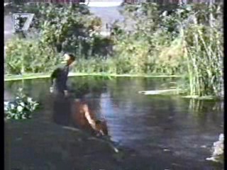 Tarzan (1966 tv series),  Live a Little - Love a Litte,  Having it All,