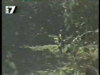 Tarzan (1966 tv series),  Live a Little - Love a Litte,  Having it All,