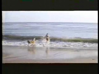 Tarzan (1966 tv series),  Live a Little - Love a Litte,  Having it All,