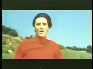 Tarzan (1966 tv series),  Live a Little - Love a Litte,  Having it All,