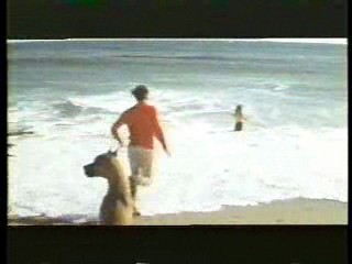 Tarzan (1966 tv series),  Live a Little - Love a Litte,  Having it All,