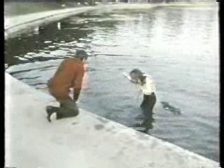 Tarzan (1966 tv series),  Live a Little - Love a Litte,  Having it All,