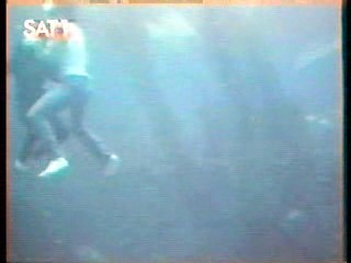 Italian Fashion Show,  Fantasy Island