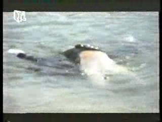 All the Rivers Run,  German TV,  German Period Drama,  German TV