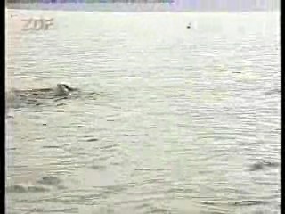 All the Rivers Run,  German TV,  German Period Drama,  German TV