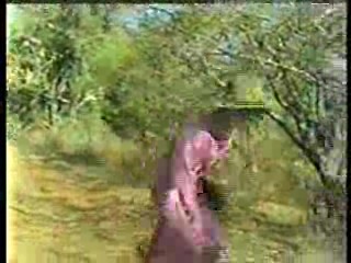 House of Fire,  German Movie