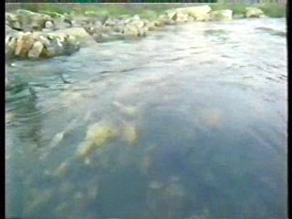 Charlies Angels,  German TV (2)