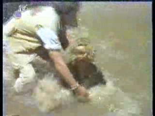 Green Fire,  German movie