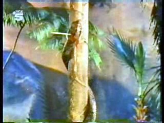 German movie,  Women of the Prehistoric Planet,  German MTV veejay