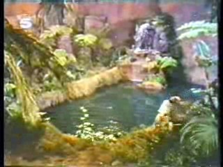 German movie,  Women of the Prehistoric Planet,  German MTV veejay