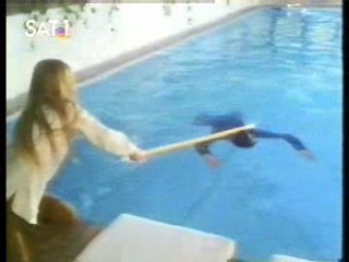 The Secret of Seagull Island