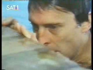 The Secret of Seagull Island