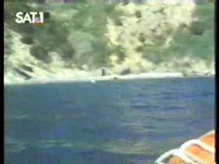 The Secret of Seagull Island