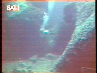 The Secret of Seagull Island