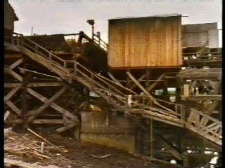 Tomcat: Dangerous Desires