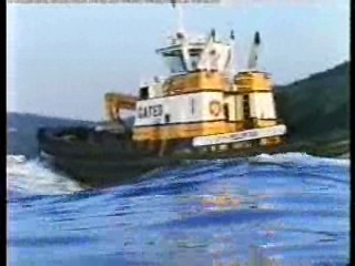 Tomcat: Dangerous Desires