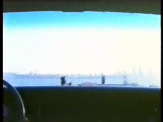 Tomcat: Dangerous Desires