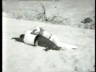 Scarecrow and Mrs King,  Faster, Pussycat! Kill! Kill!