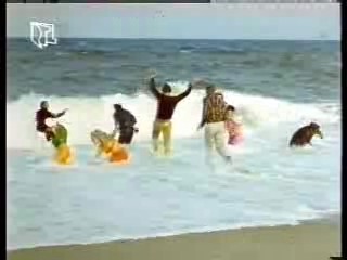 German TV (2),  German MTV veejay